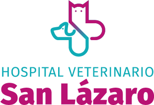 Hospital Veterinario San Lázaro